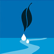 Ecohydrology Ecohydrology