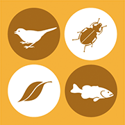 Organisms, Populations & Communities Organisms, Populations & Communities