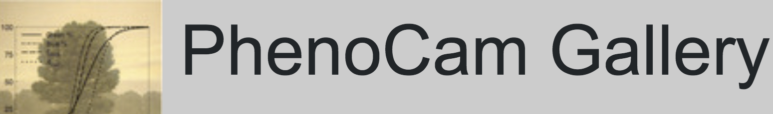 Phenocam Gallery Logo